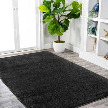 Haze Solid Low-pile Area Rug Black